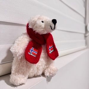 Small Norway Teddy Bear Toy